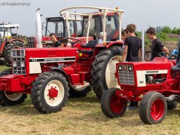 ws 384